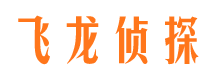 广汉市调查公司